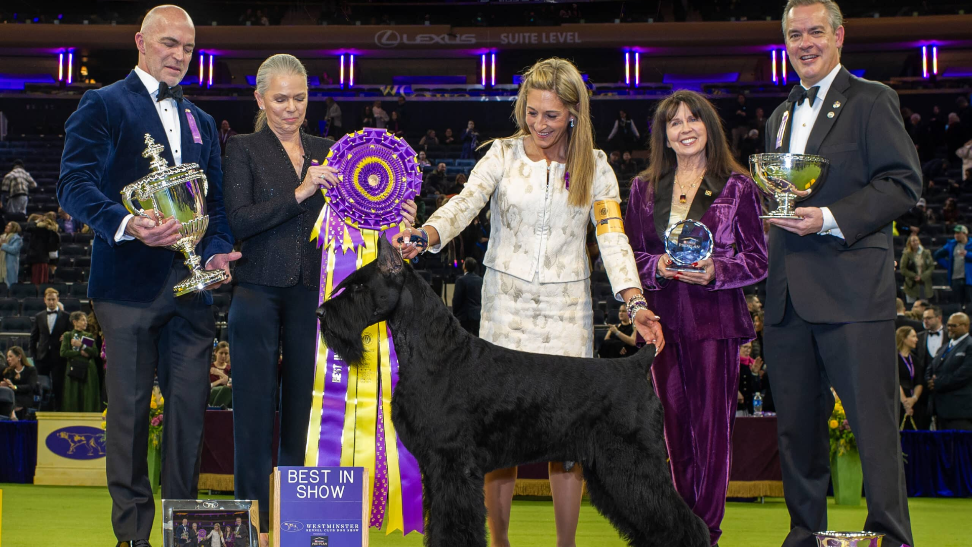 Guía detallada del Westminster Dog Show 2025